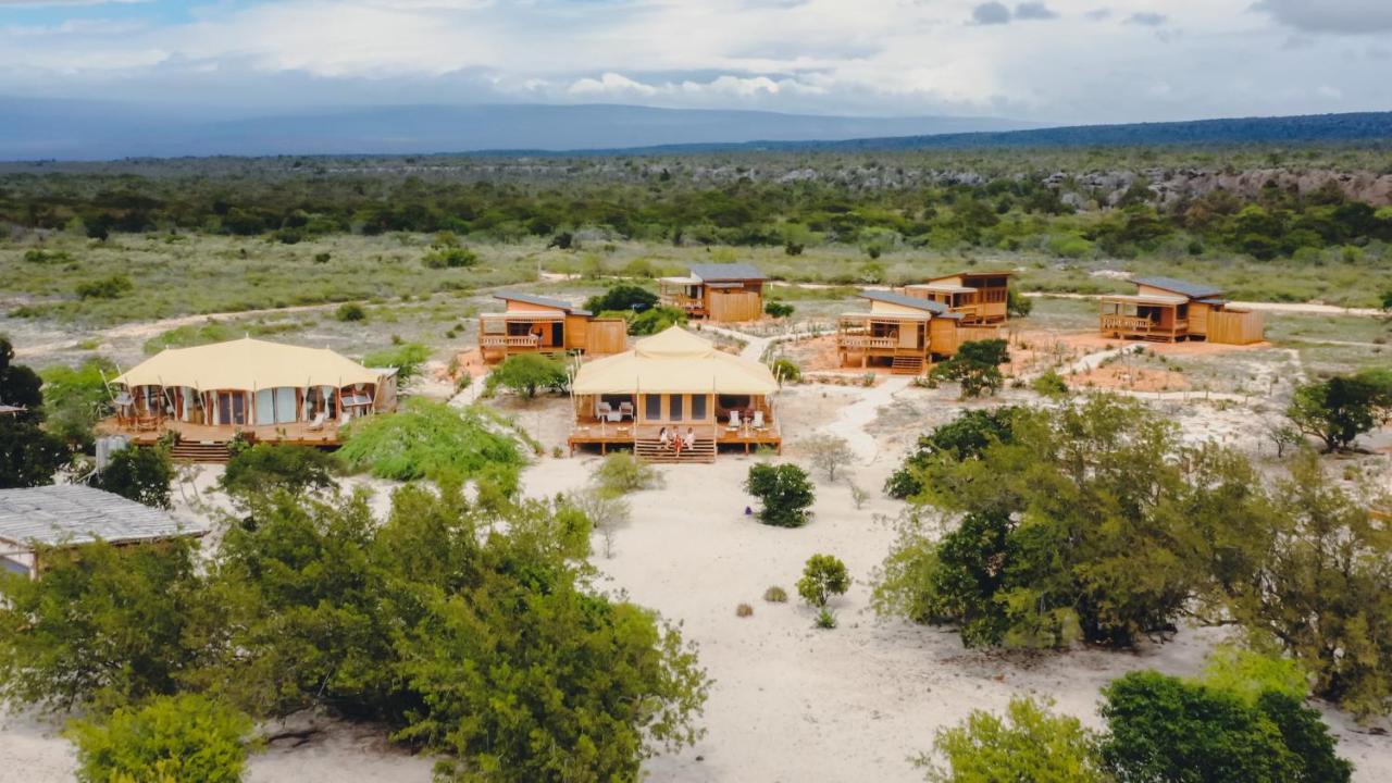 Eco Del Mar Hotel Педерналес Екстериор снимка