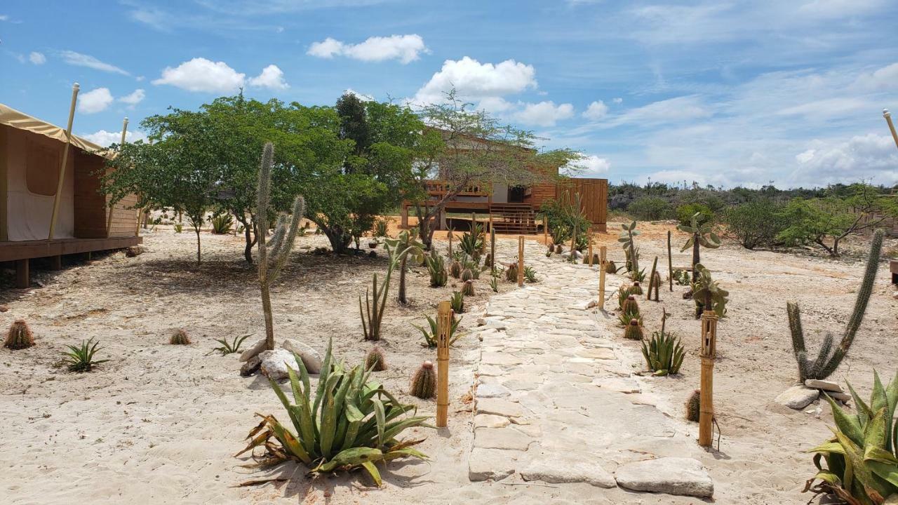 Eco Del Mar Hotel Педерналес Екстериор снимка