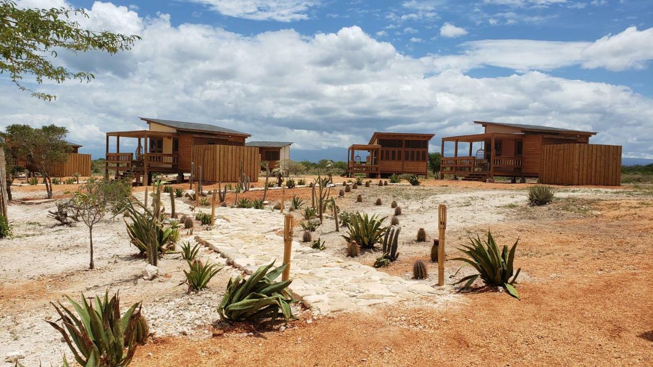 Eco Del Mar Hotel Педерналес Екстериор снимка