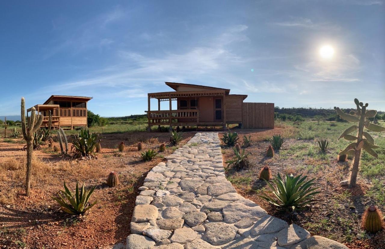 Eco Del Mar Hotel Педерналес Екстериор снимка